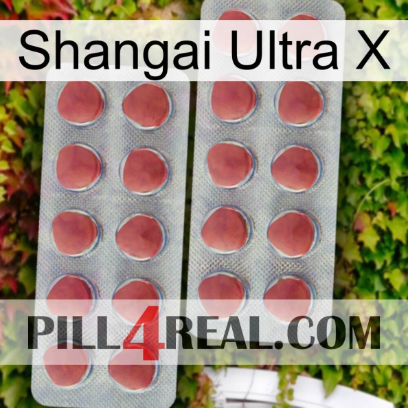 Shangai Ultra X 19.jpg